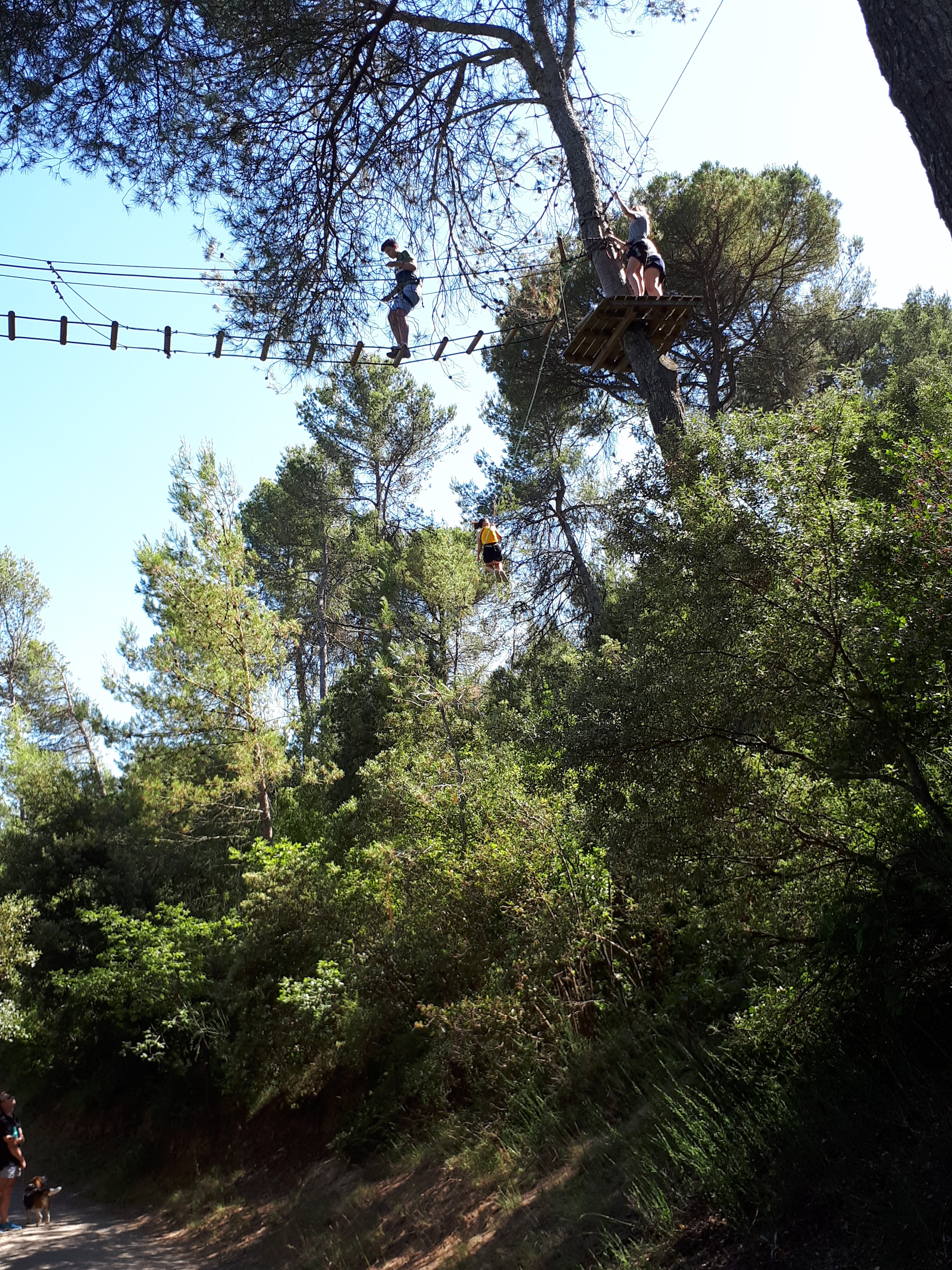 Photo n° 2 de l'avis de Rodica.i fait le 30/07/2019 à 10:53