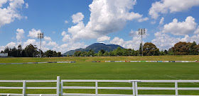 Owen Delany Park - Sports Grounds