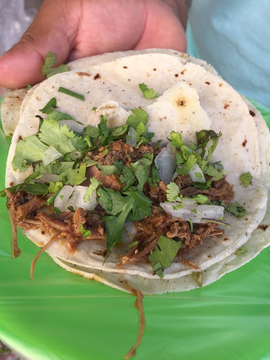 Tacos Barbacoa La Palapa