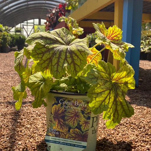 Landscaping Supply Store «Kirkwood Gardens», reviews and photos, 2701 Barrett Station Rd, Ballwin, MO 63021, USA