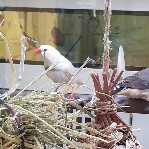 Pet Supply Store «PetSmart», reviews and photos, 625 Baltimore Blvd, Westminster, MD 21157, USA