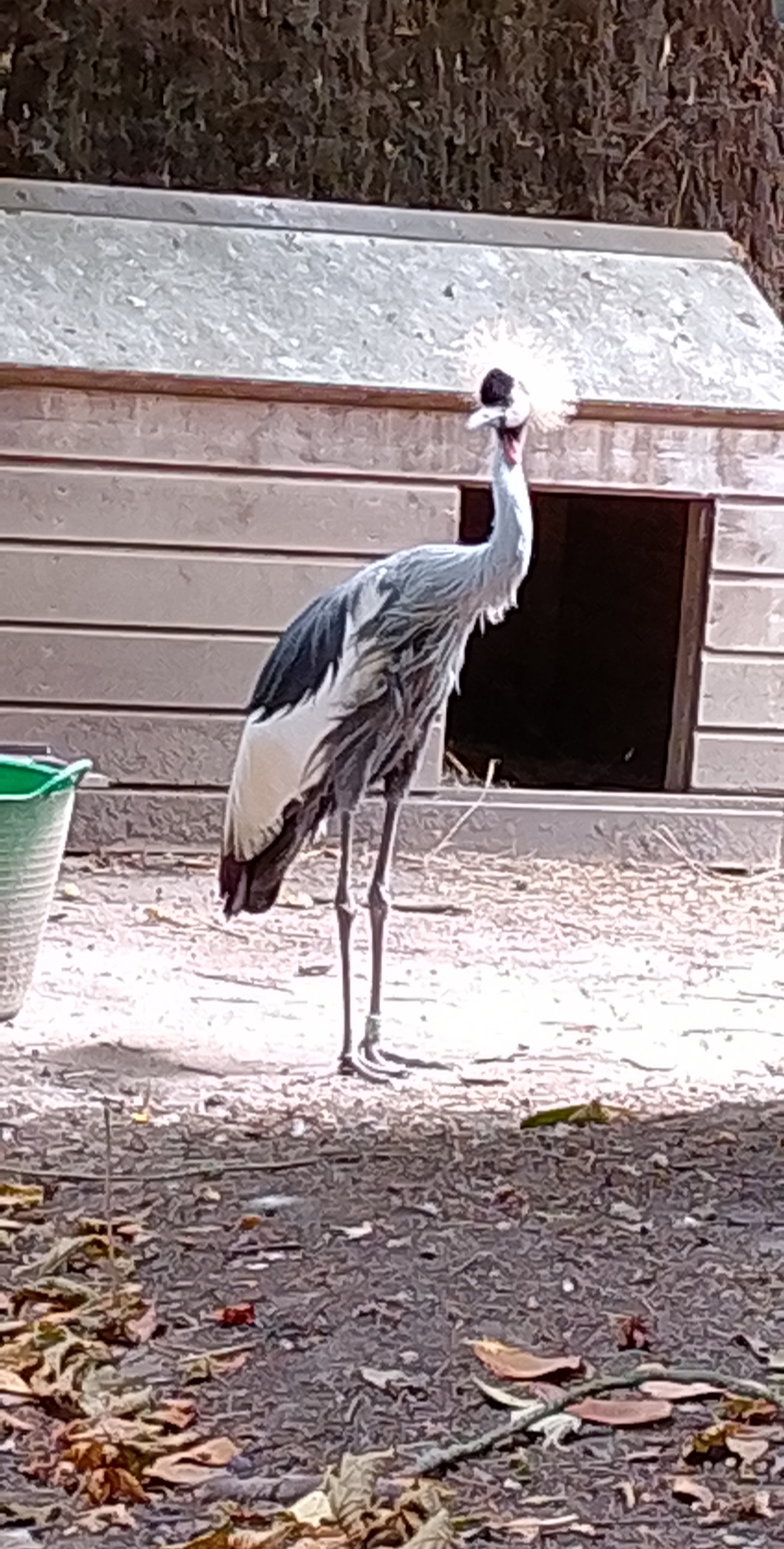 Photo n° 2 de l'avis de Baco.x fait le 28/02/2023 à 10:19