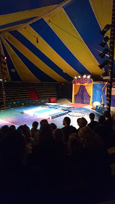 Cirque Equestre de Cocico à Charny-Orée-de-Puisaye
