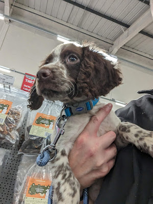 Jollyes - The Pet People Willenhall, Wolverhampton