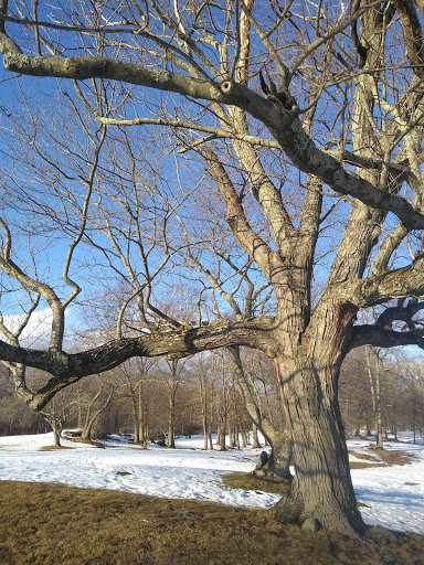 Golf Course «Saxon Woods Golf Course», reviews and photos, 315 Mamaroneck Rd, Scarsdale, NY 10583, USA