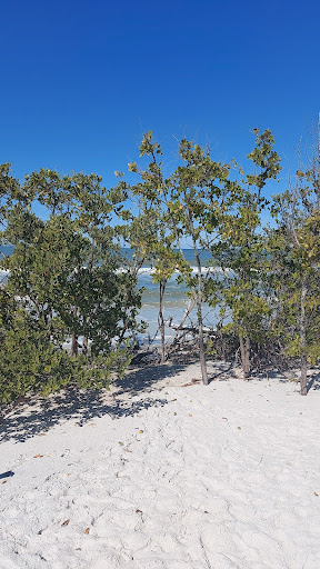Caladesi Island Wildlife Trail