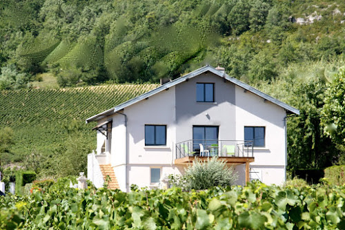 Lodge Gîte Sweet Home des Vignes: location gîte de groupe avec Jacuzzi (Bourgogne, Beaune) Rully