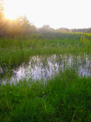 Fish Farm «The Lessman Farm & Truckhenge», reviews and photos, 4124 NE Brier Rd, Topeka, KS 66616, USA