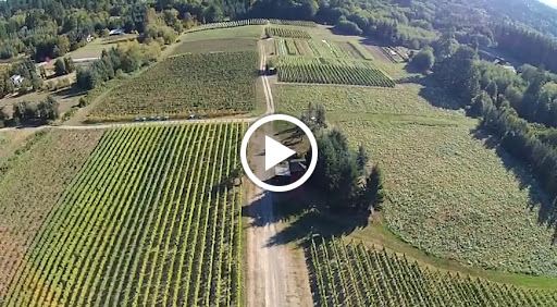 Winery «Bainbridge Vineyards», reviews and photos, 8989 NE Day Rd, Bainbridge Island, WA 98110, USA