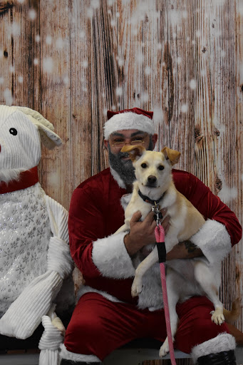 Pet Supply Store «Thomaston Feed of Cheshire», reviews and photos, 851 S Main St, Cheshire, CT 06410, USA