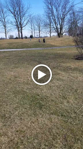 Golf Course «Wildcat Creek Golf Course», reviews and photos, 3200 Timber Valley Dr, Kokomo, IN 46902, USA