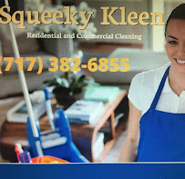 Squeeky Kleen Residential and Commercial Cleaning | Building Maintenance | Lawn Care - Photo 6 - Car repair in , York