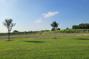 Country Spring Vineyard And Wine Garden image