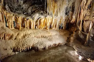 Mole Creek Caves image