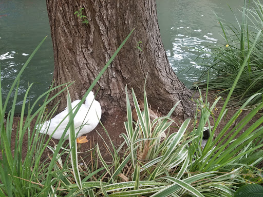 General Store «Five & Dime General Store», reviews and photos, 512 River Walk St, San Antonio, TX 78205, USA