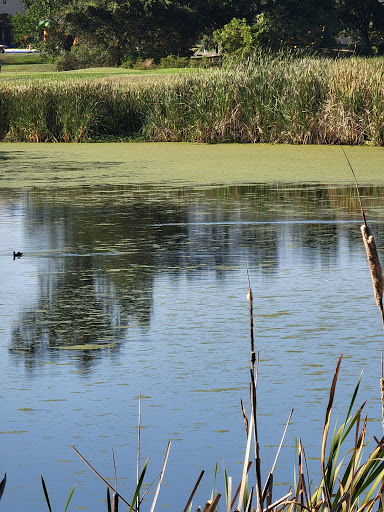 Golf Club «Castle Oaks Golf Club», reviews and photos, 1000 Castle Oaks Dr, Ione, CA 95640, USA