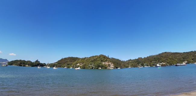 Comments and reviews of Gull Whitianga
