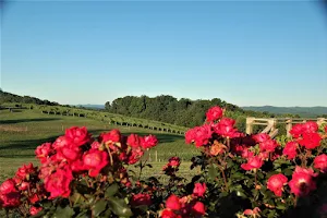 Dobbins Creek Vineyards image