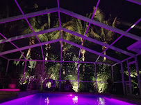 JoePaw's Pet Paradise - Photo 4 - Car repair in St. Petersburg, FL, St. Petersburg