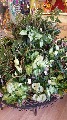 Florist «North End Florist», reviews and photos, 403 N Charlotte St, Pottstown, PA 19464, USA