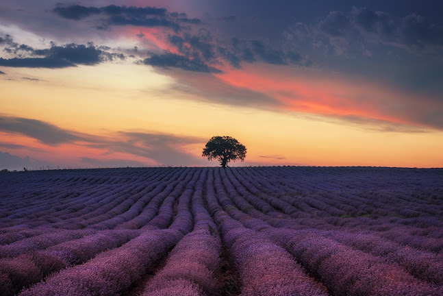 AYAN® - Перник