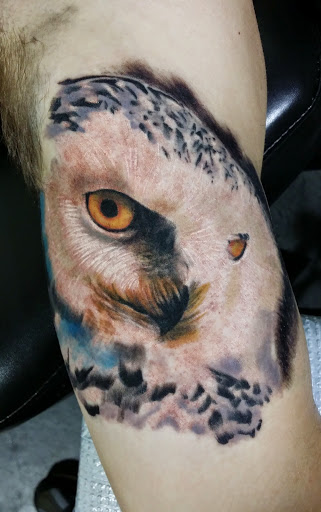 Tattoo Shop «Sarenity Tattoo & Piercing in Birchwood Mall», reviews and photos, 4350 24th Ave, Fort Gratiot Twp, MI 48059, USA