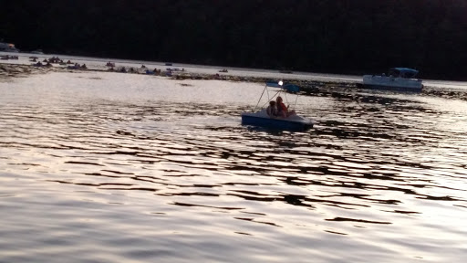 Marina «Mitchell Creek Marina», reviews and photos, 1260 Livingston Boat Dock Rd, Allons, TN 38541, USA