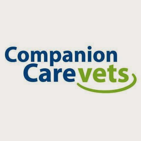Reviews of Companion Care Vets Southampton in Southampton - Veterinarian