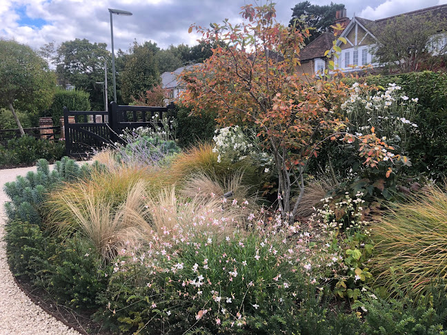 Reviews of Helen Rose Wilson Garden Design in Woking - Landscaper
