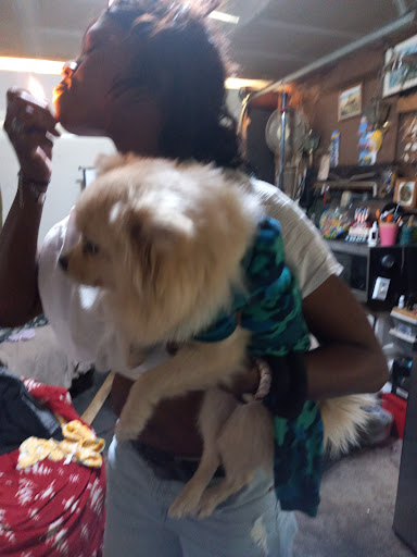 Pet Supply Store «Mini Pet Mart», reviews and photos, 1999 Main St, Springfield, OR 97477, USA