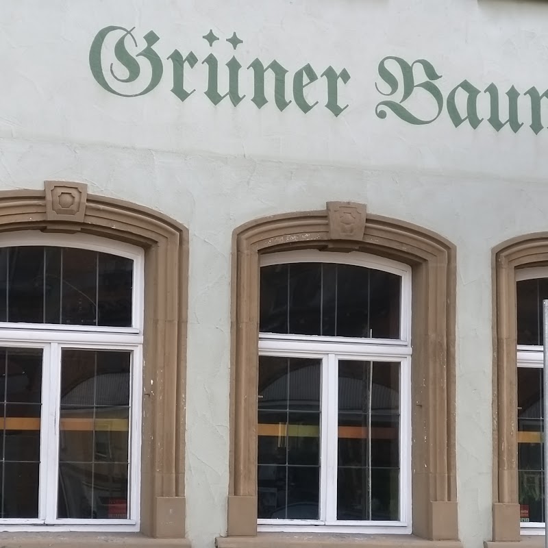 Gaststätte/Bar Grüner Baum Inh JÜRGEN Thalheimer