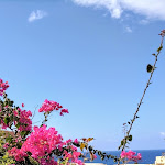 Photo n°1 de l'avis de Cristina.e fait le 23/09/2021 à 10:07 sur le  Hotel Village Suvaki à Località Punta Fram