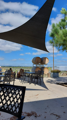 Winery «Hilmy Cellars - Vineyards, Winery & Tasting Room», reviews and photos, 12346 US-290, Fredericksburg, TX 78624, USA