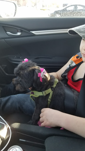 Pet Supply Store «Natural Pet Center», reviews and photos, 3037 13th Ave S, Fargo, ND 58103, USA