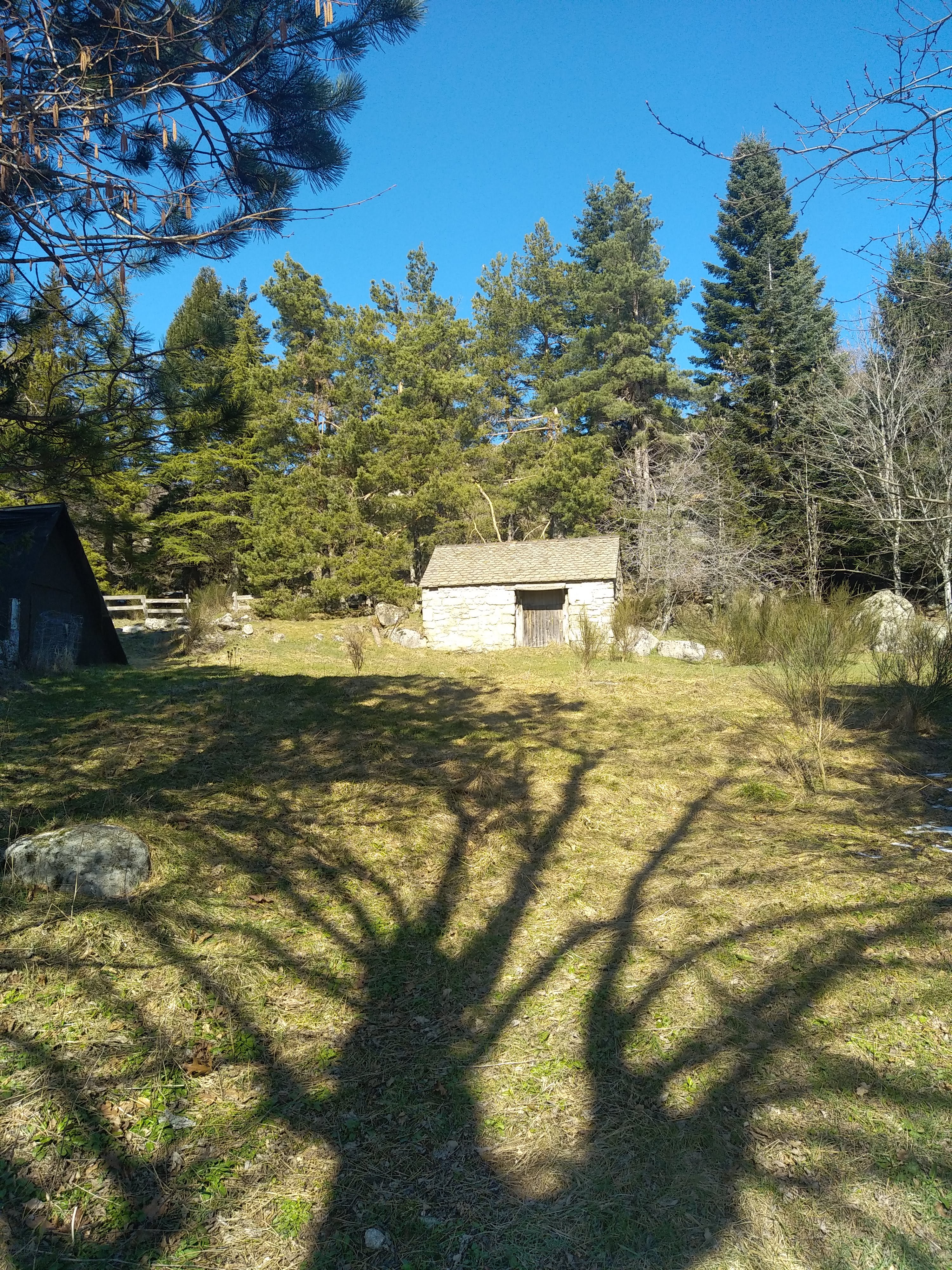 Photo n° 10 de l'avis de Julien.a fait le 05/03/2023 à 15:22