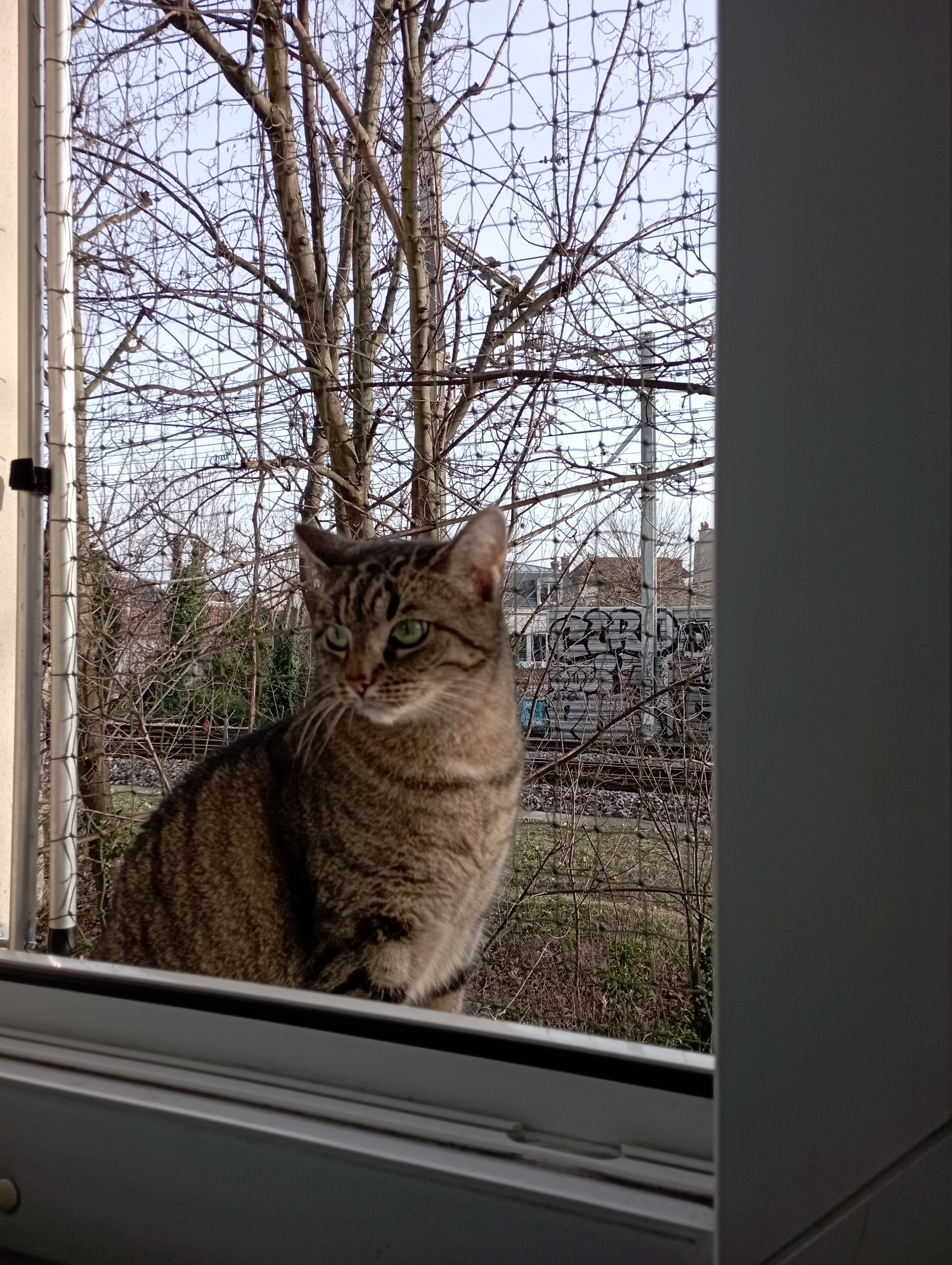 Photo n° 2 de l'avis de sophie.a fait le 29/01/2024 à 16:07