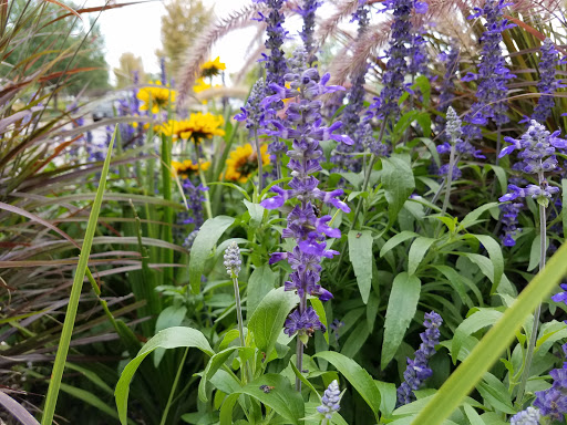 Movie Theater «Cinemark Fort Collins», reviews and photos, 4721 S Timberline Rd, Fort Collins, CO 80525, USA