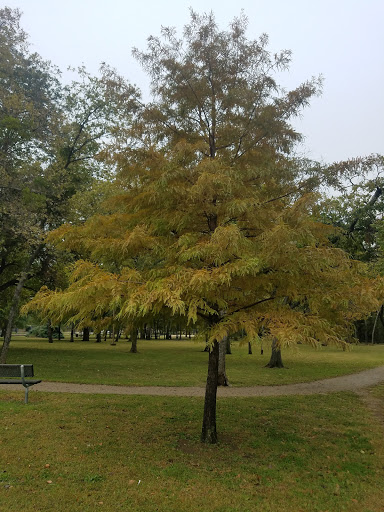 Park «J.A. Carr Park», reviews and photos, 508 Simmons Dr, Euless, TX 76040, USA