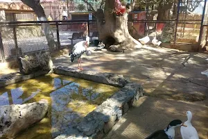Oran Zoo image