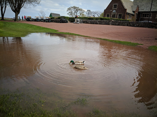 Golf Course «Sydney R. Marovitz Golf Course», reviews and photos, 3600 N Recreation Dr, Chicago, IL 60613, USA