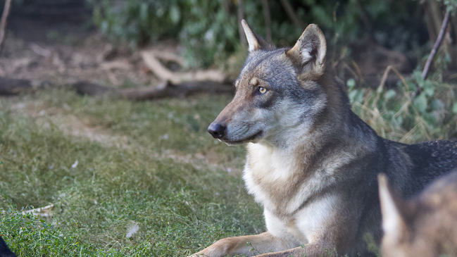 Zoo la Garenne