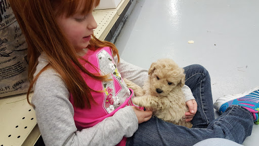 Pet Store «Teske Pet & Garden», reviews and photos, 2423 16th St, Moline, IL 61265, USA