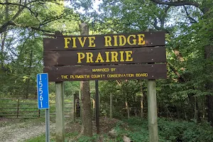 Five Ridge Prairie State Preserve image