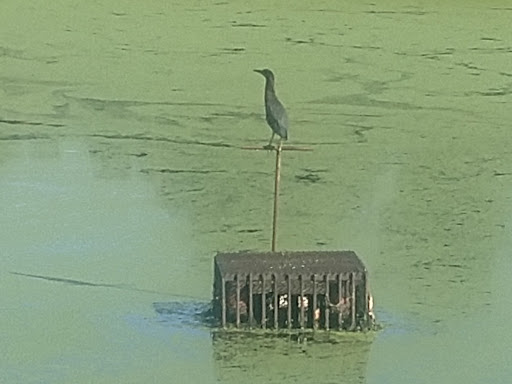 Lodge «The Lodge at Liberty Forge», reviews and photos, 3804 Lisburn Rd, Mechanicsburg, PA 17055, USA