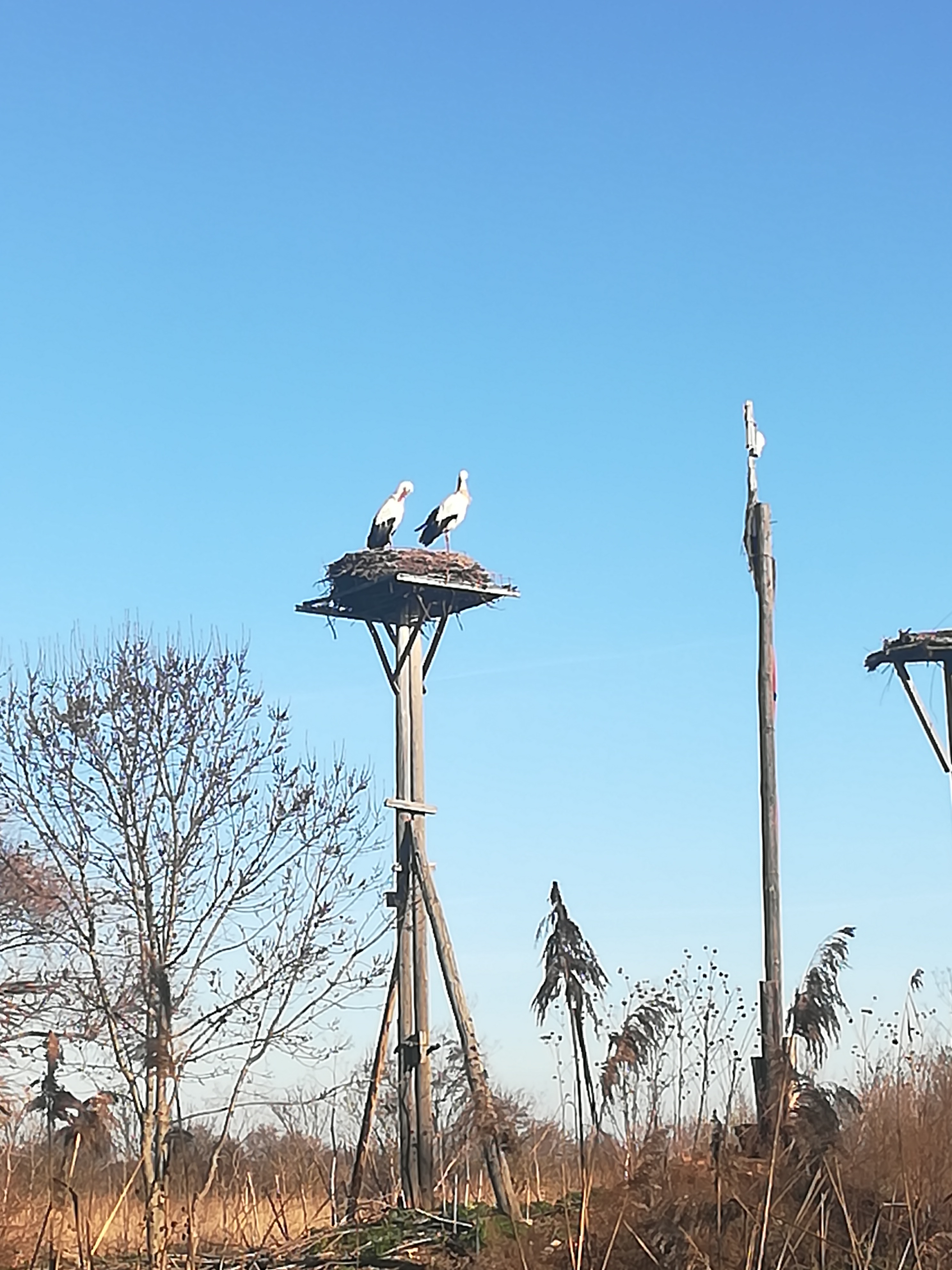 Photo n° 11 de l'avis de Steve.e fait le 29/01/2018 à 14:39