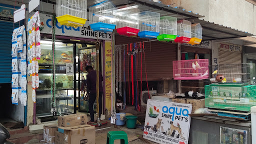 AQUA SHINE PET S SHOP