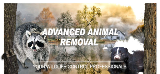 Animal control service Vallejo