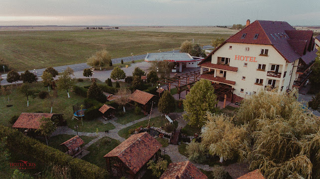Hotel Criș - Hostal