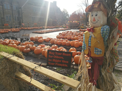 Public Swimming Pool «Tropicanoe Cove», reviews and photos, 1915 Scott St, Lafayette, IN 47904, USA