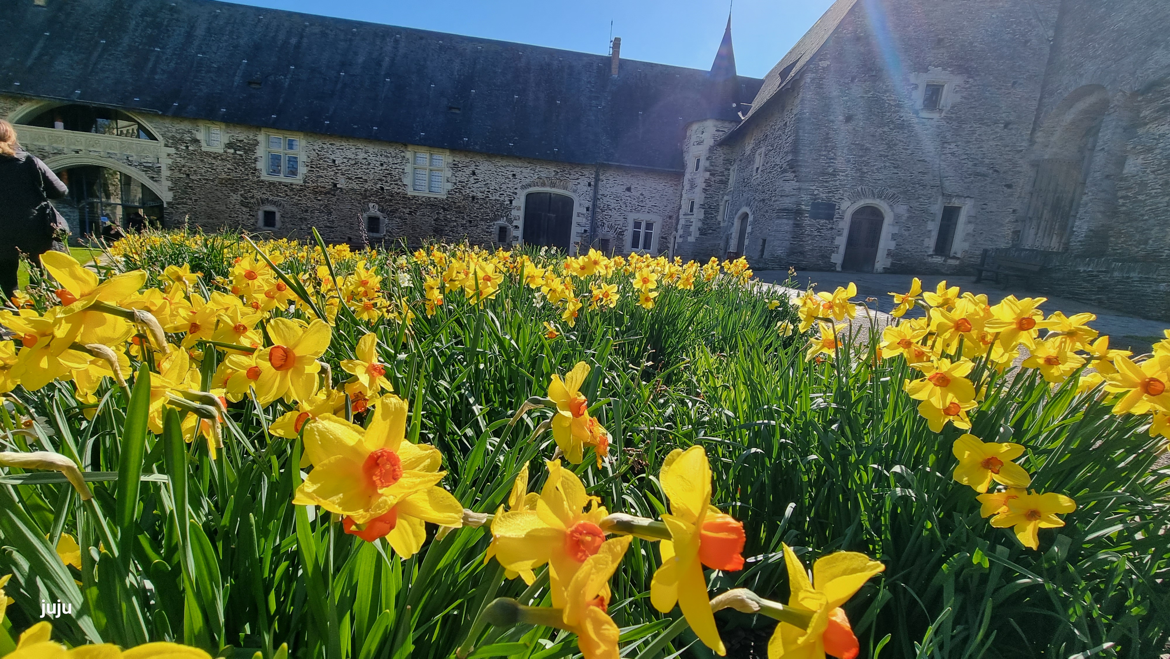 Photo n° 3 de l'avis de Juju.. fait le 28/04/2023 à 08:20